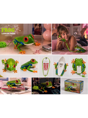Discovery Kids Frog VoIP Home Phone, Green/Blue Summer